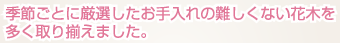 季節ごとに厳選したお手入れの難しくない花木を多く取り揃えました。